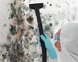  Burton, OH Mold Removal & Remediation Pros